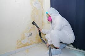 Why You Should Choose Our Mold Remediation Services in Placeholder8